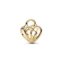 Charm Pandora Donna -- in Argento 764358C00